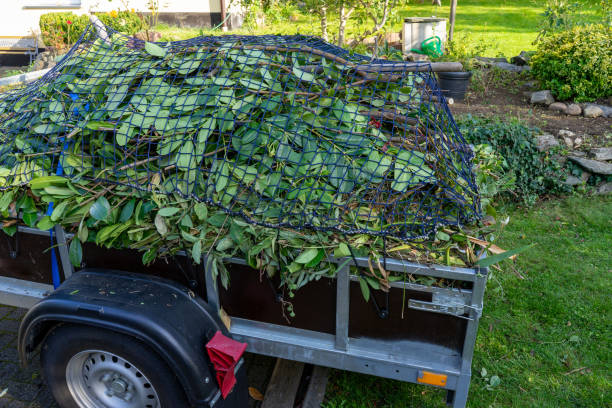 Best Carpet Removal and Disposal  in Wentworth, NC